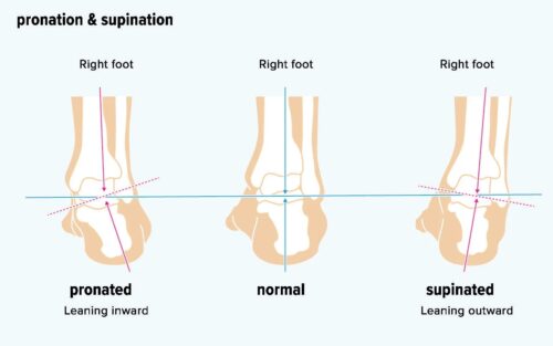 Pronation and Supination image
